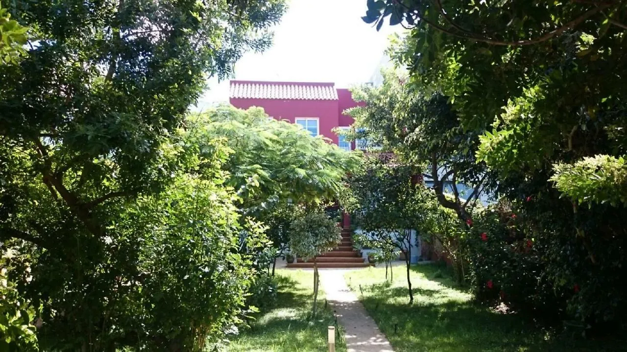 Villa Tonelero piscina privada climatizada y jardín Gáldar